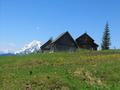 Die Brnfeichten Alm - im Hintergrund der Grimming