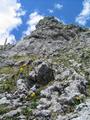 Zwischen den Felsen unzhlige Blumen