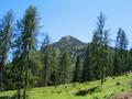 Am Weg zur Lackenalm - der Lackenkogel ist in Sicht