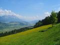 Auffahrt auf den Pruggererberg - Tiefblick Richtung Osten ins Ennstal - links der Grimming