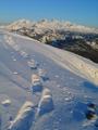 Am Rckweg - den Dachstein vor Augen