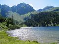 Ein letzter Blick zurck beim Unteren Zwieflersee. Ab hier geht es wieder hinein in den steilen, aber gut begehbaren Wald ...