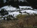 Zum Abstieg whle ich nun nicht mehr den Hllsteig, sondern den einfachen Forstweg, der sich ber steile Hnge ins Tal hinunterzieht.