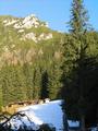 Bei der Lrchbodenalm mit der darber aufragenden Kamspitze vorbei.