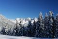 Blick zum Gosaukamm mit der Gr. Bischofsmtze.