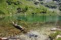 Der See ist erreicht. Von hier folgt man dann dem markierten Wanderweg, teilweise ber eine neu gebaute Forststrae hinunter zur Stanglalm / Moaralm.