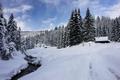 Bis zur Rahnstube ist die Forststrae gerumt, aber mit einer guten Schneedecke ausgestattet. Hier zweigt man nach rechts ab.