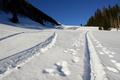 Der Pulverschnee verspricht grte Abfahrtsfreuden - und sollte mich am Ende nicht enttuschen.