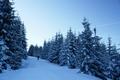 Kurz nach dem Start in Mauerreith. Auf einer traumhaften Pulver-Neuschneeauflage von ca. 5 cm geht es zunchst auf Forstwegen bergwrts.