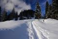 Die Route ber die Langpoltenalm und dem Grazer Steig zur Hochmlbinghtte war bestens gespurt. Bei unserer Aufstiegsroute zum Hochtor gab es allerdings nur eine einzige Spur eines einsamen Schneeschuhwanderers.