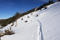 Aufstieg ber einen Schlag. Stellenweise bricht man bis zum Grund durch die Schneedecke. Die 2 Schitourengeher, welche die Spur vor mir legten, haben kurz nach dieser Stelle resigniert und sind ber den Forstweg abgefahren.