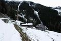 Nach etwa 1 Stunde ist die Stiegleralm erreicht.