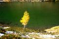 Der Herbst zaubert hier heroben die tollsten Farben ...