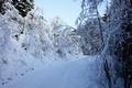 Start in Lengdorf. Aufstieg entlang der Forststrae auf durchgngiger Schneefahrbahn.