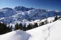 Im Angesicht der Seekarwand (rechts der Bildmitte - Siehe auch die groartige Schneeschuhtour vom 28.12.2008) mu ich nun doch etwas steilere Hnge fr den Aufstieg suchen. Links im Hintergrund der bizarr gezackte Gosaukamm um die Bischofsmtze.