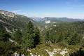 Der Anstieg �ber die Ostseite auf den Pfalzkogel gestaltete sich zun�chst auch weitgehend einfach. Blick hinunter �ber mein Anstiegsgel�nde - �ber die Bildmitte zieht sich das Landfriedtal.