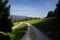 Bei besseren Lichtverhltnissen wrde sich jetzt am Horizont das Fels-Dreigestirn von Torstein, Mitterspitz und Hohen Dachstein zeigen. Im Dunst verlieren sich die markanten Gipfel aber etwas im Hintergrund.