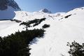 Am ersten Hang vom Scheiblingkogel guter Firn. Danach noch hart und ruppig. Weiter unten beginnt man stellenweise im 