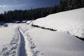 Von der Viehbergalm abwrts ist die Route jetzt wieder gut gespurt - wie meist den ganzen Winter ber. Selbst und vor allem nach lngeren und strkeren Schneefllen, weil das Kemetgebirge in diesem Bereich ziemlich (aber nicht gnzlich!) lawinensicher ist.