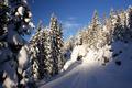 Kurz nach der Rahnstube gelange ich in die wrmende Sonne. Auf der Schneemobilspur der Jger ist der Aufstieg ...