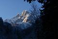 Bereits nach wenigen Schritten gibt der Wald erste Ausblicke in die Nordwnde des Admonter Reichenstein frei.