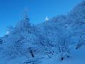 Frostig ist es trotz strahlend blauem Himmel auf der Nordseite des Zirmel.
