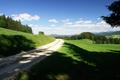 Der vermeintliche Rckweg nach Schardorf ber Alm- / Forststraen wurde abrupt durch 