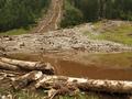 Noch immer aufgestaute Gewsser und vollgesogener Schlamm verbreiten leicht modrigen, fauligen Geruch.