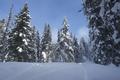 Zunchst sah es lange Zeit so aus, als sollte es auch heute - so wie bei unserer gestrigen Schneeschuhwanderung im Dachsteingebirge zur Arzbergalm, Sulzkaralm und Aualm - trotz aller Prognosen den ganzen Tag ber nebelig-trb und damit auch recht unangenehm feucht-kalt bleiben. Umso grer die Freude als sich in greren Hhen der graue Schleier endlich lichtete.