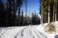 Viele Spuren von Schitourengehern, Schneeschuhwanderern, Fugngern und 