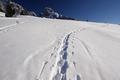 ... setzen wir unsere Schneeschuhspur in den groteils lockeren Pulverschnee ...