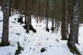 Von Gstatterboden folgten wir der markierten Sommerroute durch den Wald ...