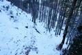 Einigen Schispuren (und deren Verhauer) folgend geht es im Steilwald auf dnner Schneedecke hher.