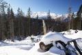 Ausblick zum Hhenzug zwischen Speikberg und Hirschberg, stlich vom Krippenstein gelegen, ebenfalls wunderbare Winterziele.