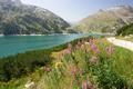 Weiter gehts am Speichersee entlang bis zur Weggabelung zwischen Groelendtal / Osnabrckerhtte und Kleinelendtal.