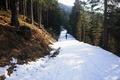 Vom Edenburger Trl folgen wir dem nach rechts Richtung Osten abzweigenden Forstweg auf passabler Schneedecke.