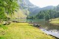 Vorbei am Unteren Lanschitzsee, wo ich heute das erste Mal auf Wanderer treffe.