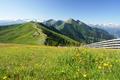 Kurzer Abstieg ber eine Wiese und auf der Strae bergan auf den Kreuzkogel.