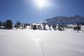 Lange Risse in der vereisten Schneedecke.