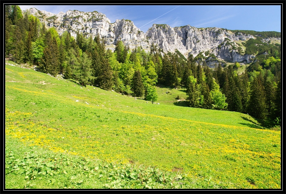 Blumenparadies Grabnerstein