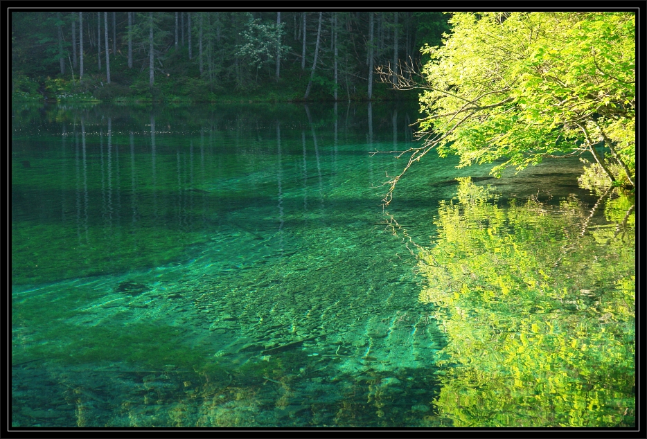 Von Wildalpen auf den Groen Griestein