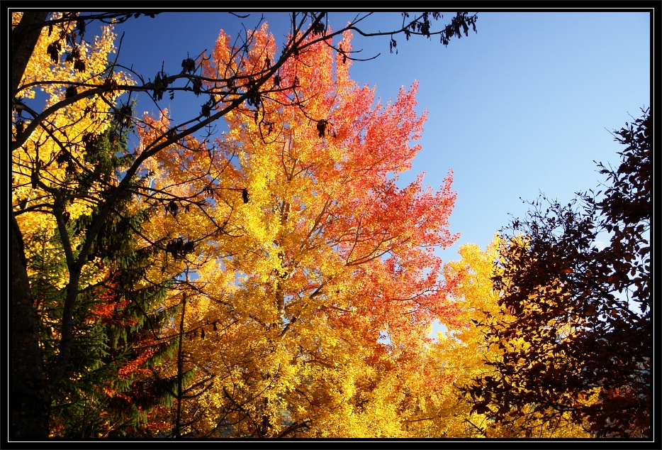 Herbstfarben