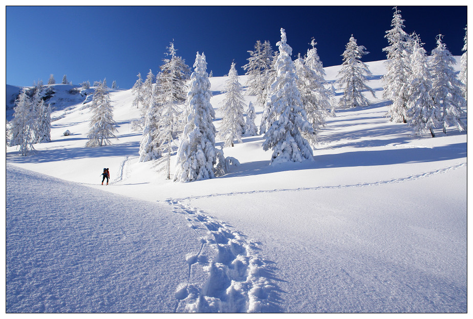 Mrchenhafter Winterwald am Weg auf das Gumpeneck