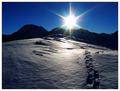 Schneeschuhwanderung auf die Moditzen