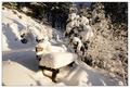 Schneebankerl am Weg zur Schönwetterhütte