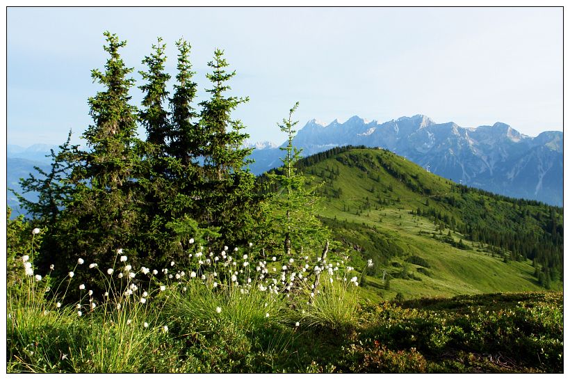 Im Sommer auf der Planai