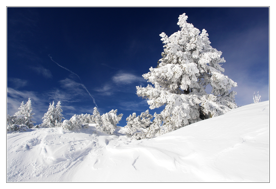 Frostige Temperaturen