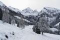 Tourenfotos Labeckalm - Schwarzkogel