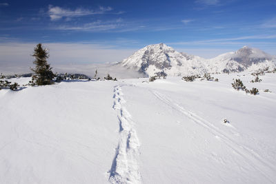 Am Pleschberg-Gipfelplateau