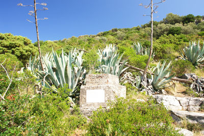 Pflanzenreichtum auf der Insel Losinj